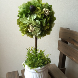 ★選べる花器★実物と紫陽花のグリーントピアリー 高さ26 3枚目の画像