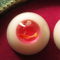 20mmレジンアイ（遊泳金魚　桜と真珠） 2枚目の画像