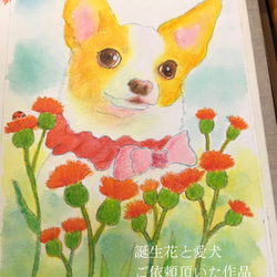 愛犬・愛猫の誕生花と似顔絵描きます（ポストカードサイズ） 4枚目の画像