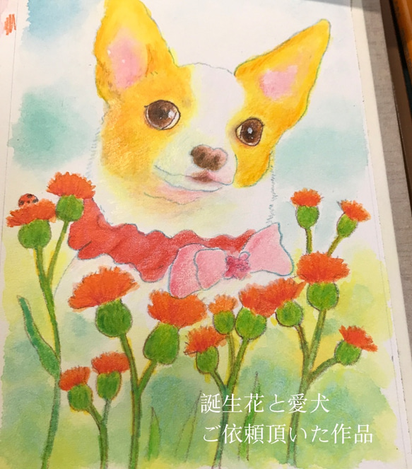 愛犬・愛猫の誕生花と似顔絵描きます（ポストカードサイズ） 4枚目の画像