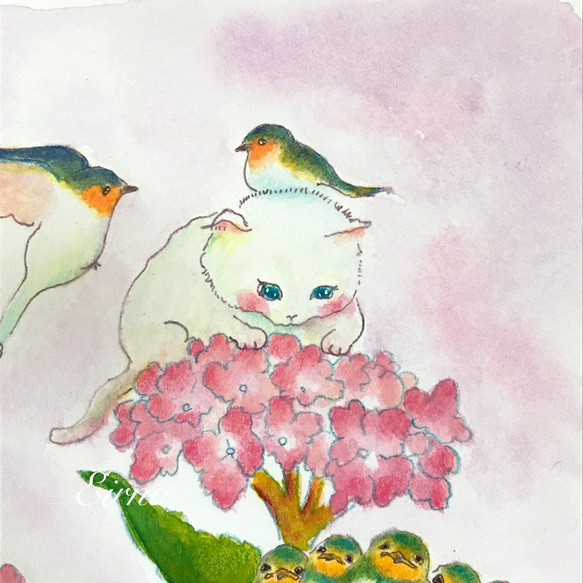 　紫陽花と猫さんのレターセット 4枚目の画像