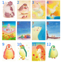 選べるポストカードセット　（5種類）　再販 2枚目の画像
