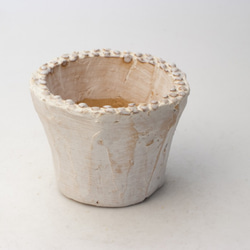 陶器製（２号ポット相当）多肉植物の欲しがる植木鉢 AAS-5701 1枚目の画像