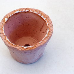 陶器製（２号ポット相当）　植木鉢　 AASc-ミカゲ-7363 2枚目の画像