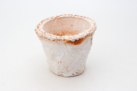 陶器製（2.5号ポット相当）多肉植物の欲しがる植木鉢 OPS-8162 1枚目の画像