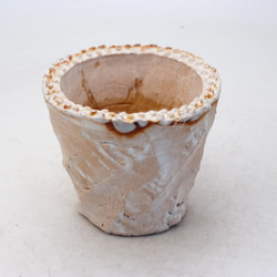 陶器製（2.5号ポット相当）多肉植物の欲しがる植木鉢 OPS-8343 1枚目の画像
