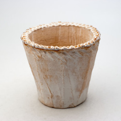 陶器製（3号ポット相当）多肉植物の欲しがる植木鉢 NSM-9120 1枚目の画像