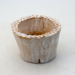 陶器製（２号ポット相当）多肉植物の欲しがる植木鉢 PR-9321 1枚目の画像