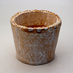 陶器製（3号ポット相当）多肉植物の欲しがる植木鉢 SSLd-9655 2枚目の画像