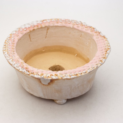 【ハート型のヒノキの切り株プレート】アクセサリー ディスプレイ オブジェ 植物 ハート型のヒノキの切り株プレート】アクセサリー ディスプレイ