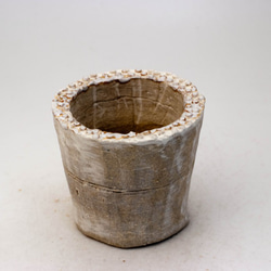 陶器製（2号ポット相当）多肉植物の欲しがる植木鉢 SSS-828 1枚目の画像