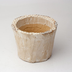 陶器製（2.5号ポット相当）　多肉植物の欲しがる植木鉢 sms-965 1枚目の画像