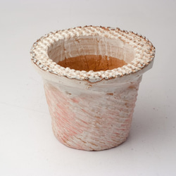 陶器製（2.5号ポット相当）　多肉植物の欲しがる植木鉢 nsscd-ピンク-1142 1枚目の画像