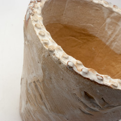 陶器製（2.5号ポット相当）　多肉植物の欲しがる植木鉢 ops-1172 2枚目の画像