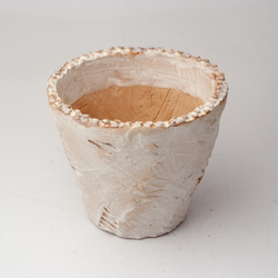 陶器製（3号ポット相当）　多肉植物の欲しがる植木鉢 opm-1179 1枚目の画像