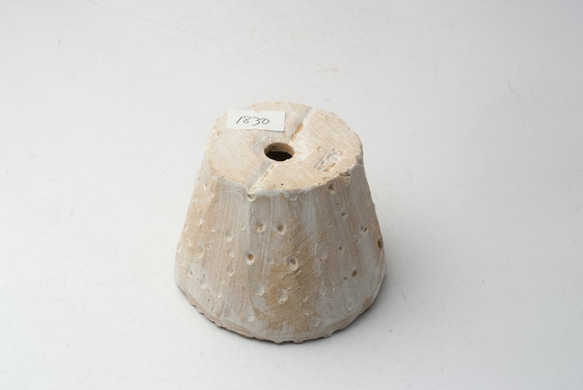 陶器製（２号ポット相当）　多肉植物の欲しがる植木鉢 AAS-1830 3枚目の画像