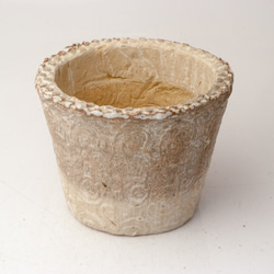 陶器製（2.5号ポット相当）　多肉植物の欲しがる植木鉢 SMS-1993 1枚目の画像