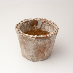 陶器製（２号ポット相当）　多肉植物の欲しがる植木鉢 AAS-2022 1枚目の画像
