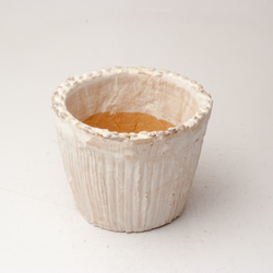 陶器製（２号ポット相当）　多肉植物の欲しがる植木鉢 AAS-2037 1枚目の画像