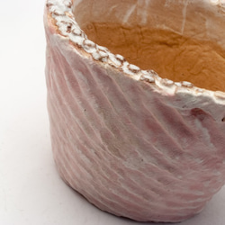 陶器製（２号ポット相当）　多肉植物の欲しがる植木鉢 AASc-2953ピンク 2枚目の画像