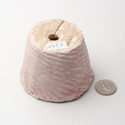 陶器製（２号ポット相当）　多肉植物の欲しがる植木鉢 AASc-2953ピンク 3枚目の画像