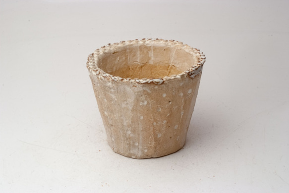 陶器製（2.5号ポット相当）　多肉植物の欲しがる植木鉢 SMS-4247 1枚目の画像