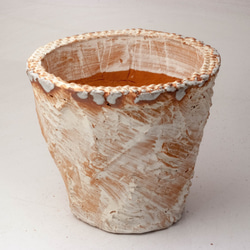 陶器製（4号ポット相当）　多肉植物の欲しがる植木鉢 OPLL-4808 1枚目の画像