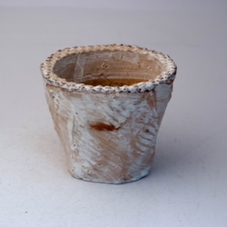 陶器製（2.5号ポット相当）　多肉植物の欲しがる植木鉢 OPS-4912 1枚目の画像