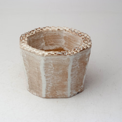 陶器製（2〜2.5号ポット相当）多肉植物の欲しがる植木鉢 KES-5009 1枚目の画像