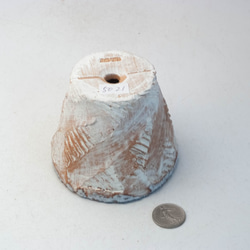 陶器製（2.5号ポット相当）　多肉植物の欲しがる植木鉢 OPS-5021 3枚目の画像