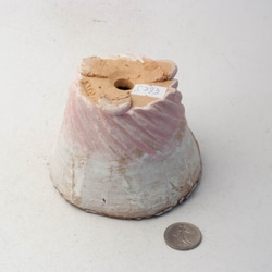 陶器製（２.5号ポット相当）　多肉植物の欲しがる植木鉢 IBMc-5293ピンク 3枚目の画像