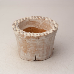 陶器製（２号ポット相当）　多肉植物の欲しがる植木鉢 PR-3566 1枚目の画像