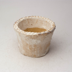 陶器製（２号ポット相当）　多肉植物の欲しがる植木鉢 AAS-6528 1枚目の画像