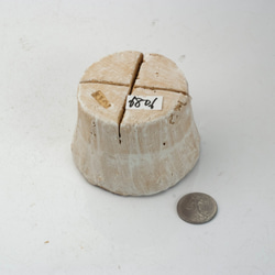 陶器製（２号ポット相当）　多肉植物の欲しがる植木鉢 PR-6806 3枚目の画像