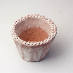 陶器製（２号ポット相当）　植木鉢　 AASc-ミカゲミックス-7095 2枚目の画像