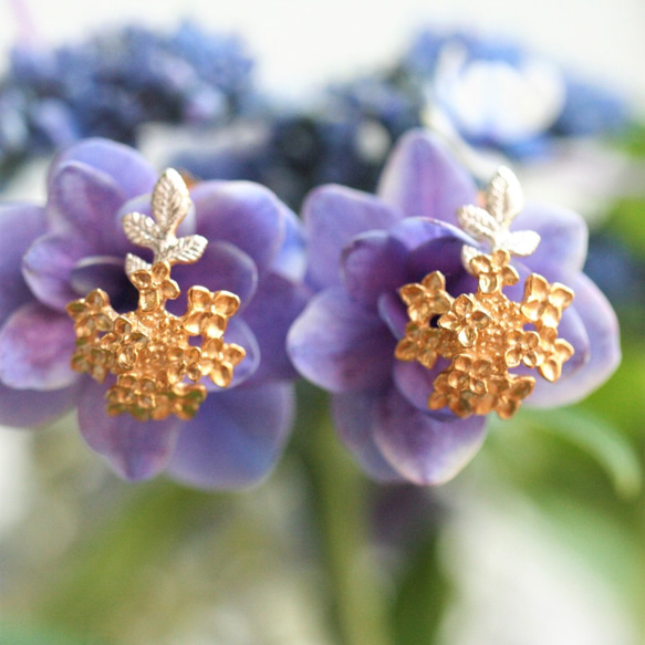 ちいさな額紫陽花のピアスA 【受注生産】 9枚目の画像