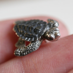 BabyHonu（Baby sea turtle）單耳耳環“Baby” 第7張的照片
