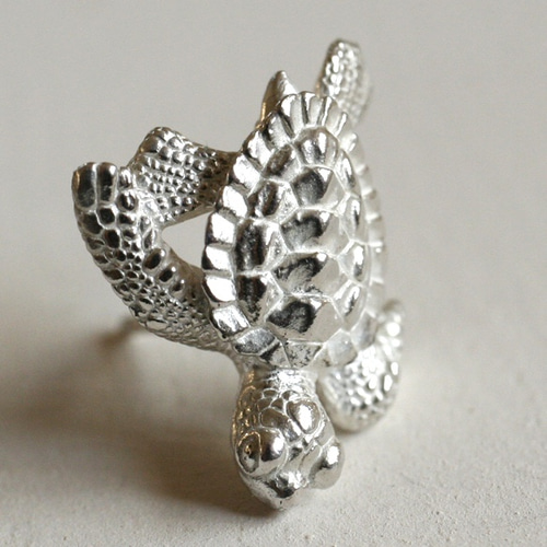 ウミガメ ナッツカメ Sサイズ/Mサイズ – 飛雪の滝グッズストア