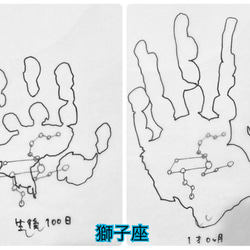  第6張的照片