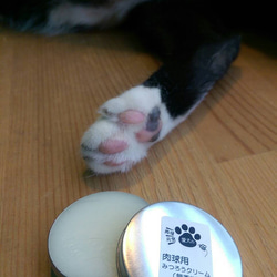 マイクロ森。日本は自然な蜜蝋みつろうクリームミートボールの犬や猫が無香フットクリーム10gの専用のインポート 6枚目の画像