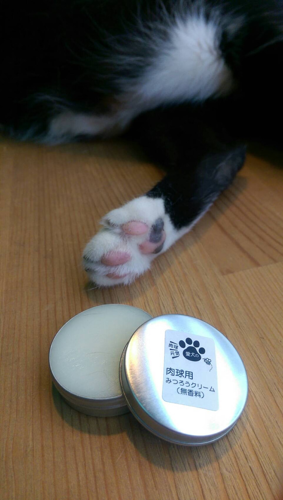 微森林．日本原裝進口天然蜜蠟霜 肉球 犬貓腳掌專用蜜蠟霜 10g 無香 第6張的照片