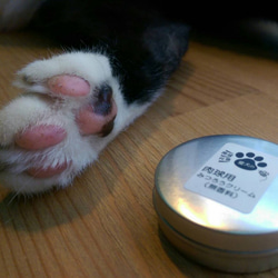 マイクロ森。日本は自然な蜜蝋みつろうクリームミートボールの犬や猫が無香フットクリーム10gの専用のインポート 7枚目の画像