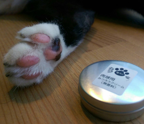 微森林．日本原裝進口天然蜜蠟霜 肉球 犬貓腳掌專用蜜蠟霜 10g 無香 第7張的照片