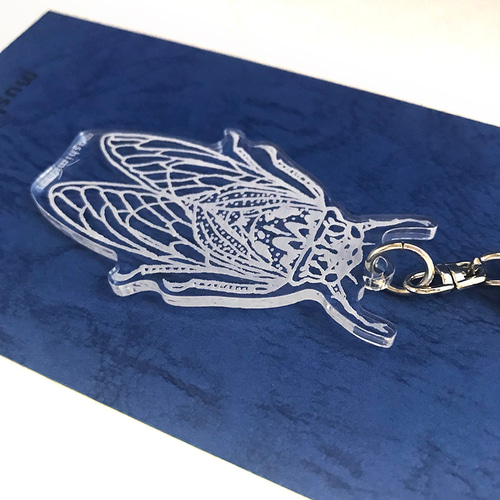 NEW！＞「日本の昆虫シリーズ」彫刻アクリルキーホルダー