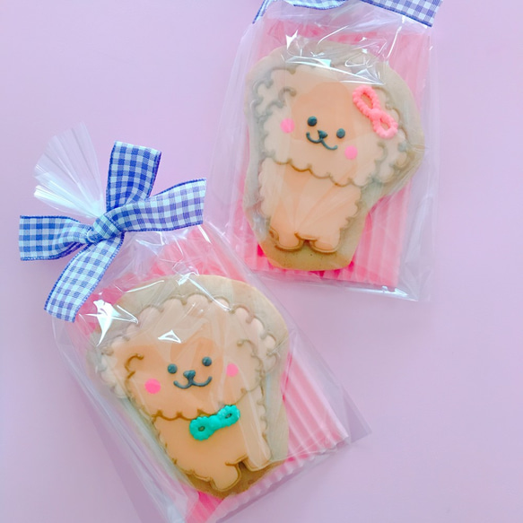 toy poodle cookie 2枚目の画像