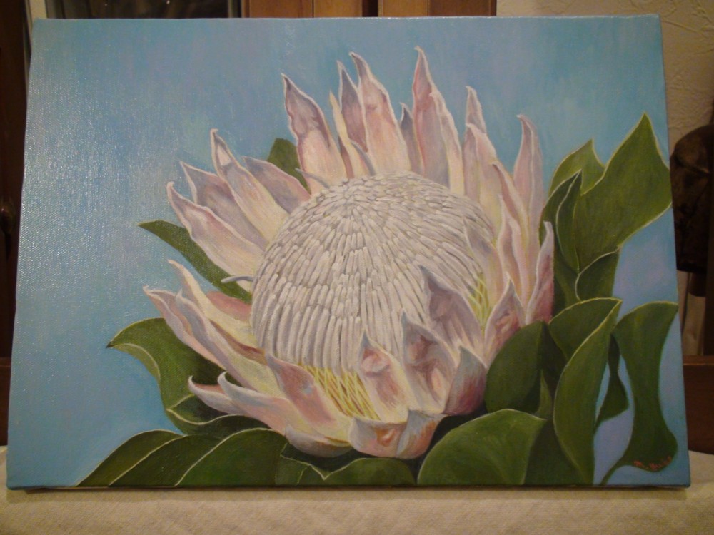 絵画 額縁付 プロテア protea protea 額縁付 プロテア 絵画