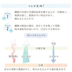 【再販】《夏マスク》接触冷感メッシュ☆大臣型(舟形)立体マスク☆ノーズワイヤー入り☆洗って使える☆男女兼用サイズ 4枚目の画像