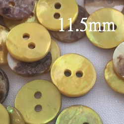 1２個*11.5mm真珠貝ボタン*黄色 1枚目の画像