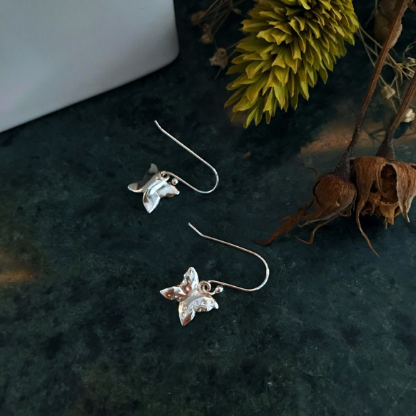 小蝴蝶Butterfly/純銀Silver/耳環Earring 第2張的照片