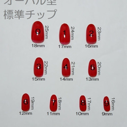 波爾多x龜甲零件釘 第5張的照片